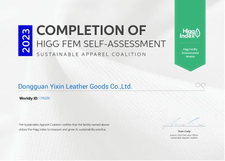 HIGG FEM SELF-ASSESSMENT CERTIFICATE_page-0001